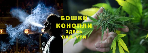 прущие грибы Пролетарск