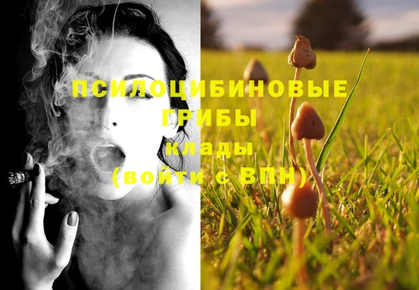 ГАЛЛЮЦИНОГЕННЫЕ ГРИБЫ Белоозёрский
