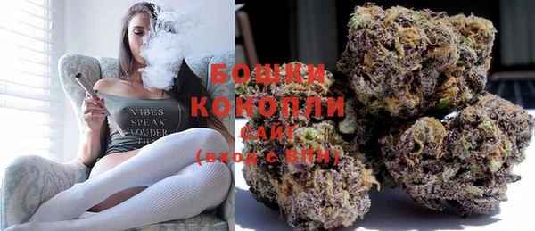 ГАЛЛЮЦИНОГЕННЫЕ ГРИБЫ Белоозёрский