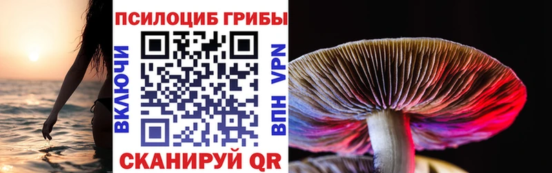 Галлюциногенные грибы прущие грибы  маркетплейс клад  Кохма 